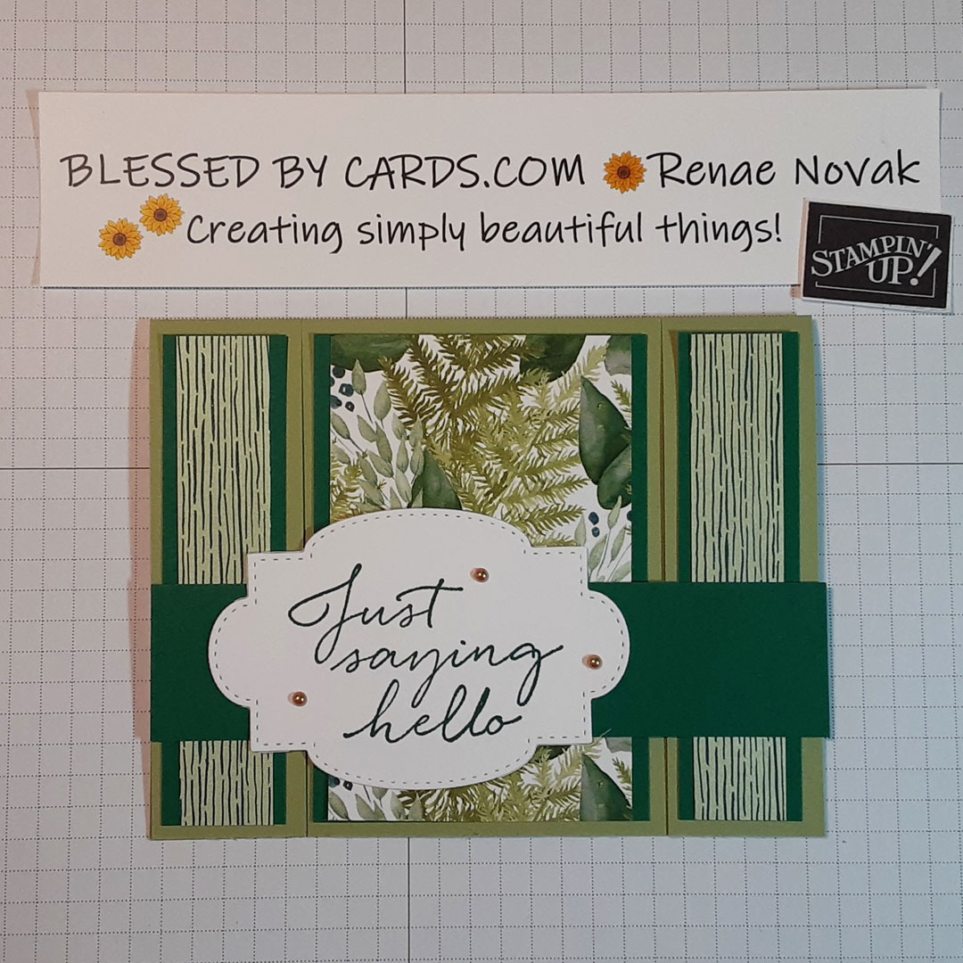 Make it Monday #5- Fun Fold – Blessed By Cards w/Renae Novak