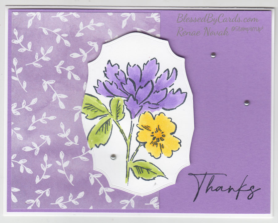 Thanks with Hand-Penned Petals – Blessed By Cards w/Renae Novak