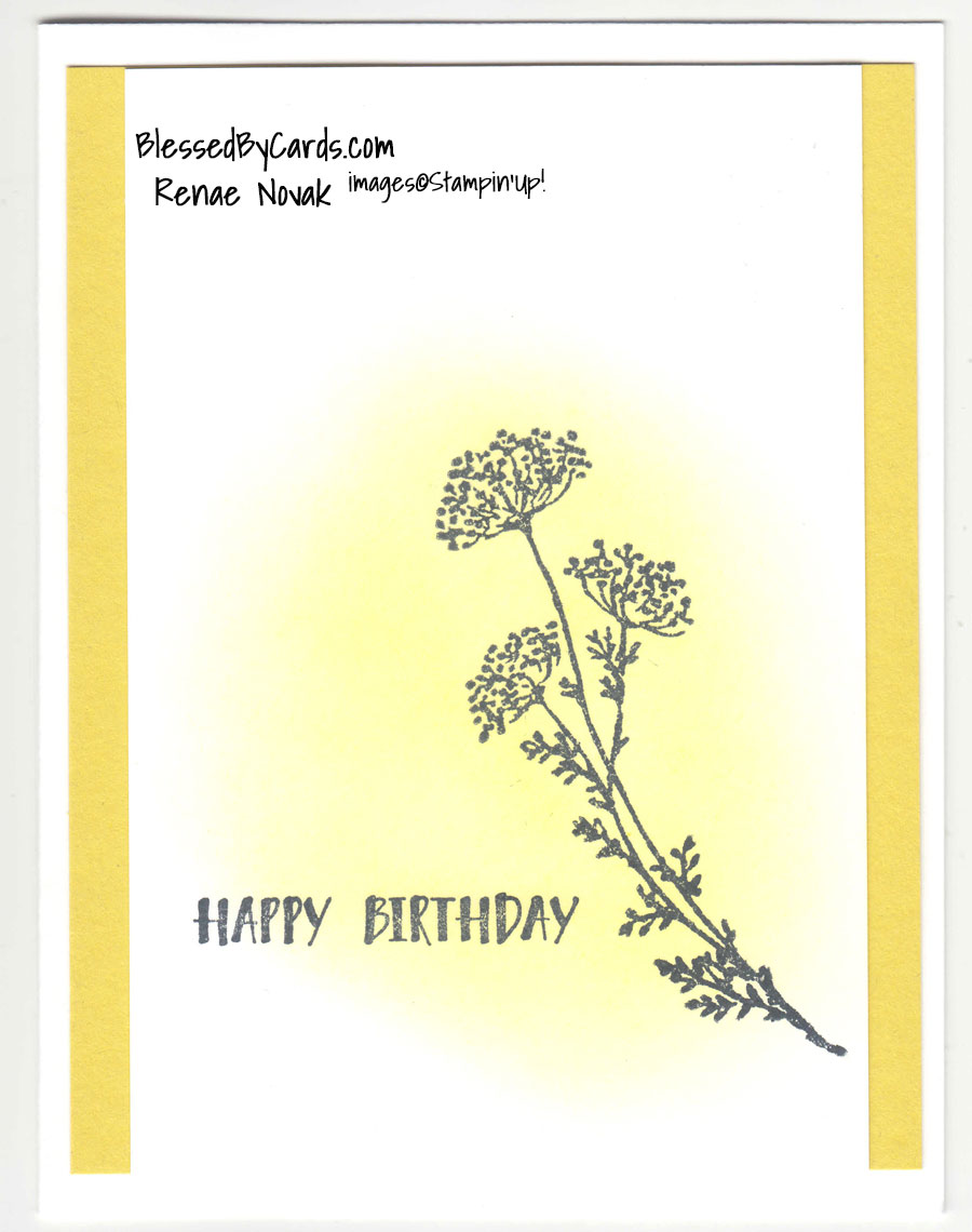 Weekly Wednesday #53 Clean & Simple Card – Blessed By Cards w/Renae Novak