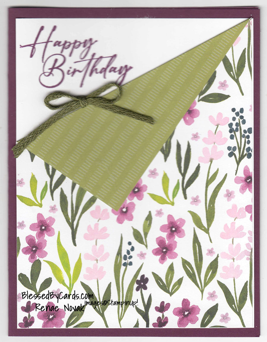 Fun Corner Fold Card~Weekly Wed. #63 – Blessed By Cards w/Renae Novak