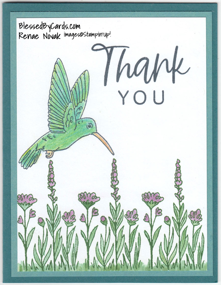 Weekly Wednesday #93 Alternative for Paper Pumpkin – Blessed By Cards w ...